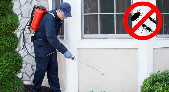 Kavaklıdere Gümüşkurt İlaçlama böcek ilaçlama ve haşere kontrolü — ilaclama-tr.com